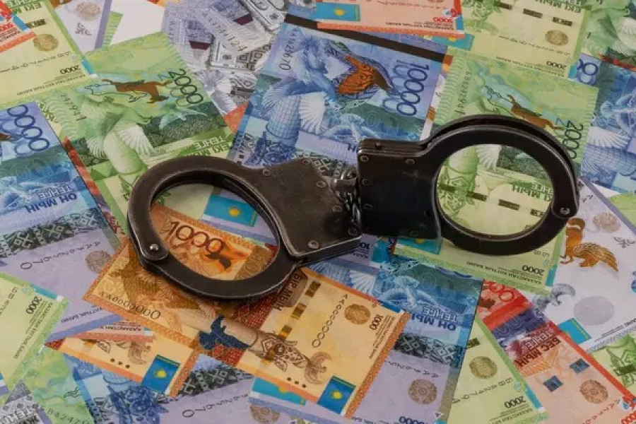 238 млн теңге субсидия жымқырды деген күдікті Грузиядан экстрадицияланды