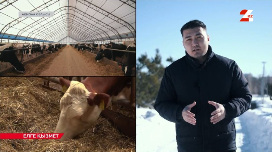 Ақмола облысындағы ветеринария басқармасы заң талаптарының орындалуын қадағалайды