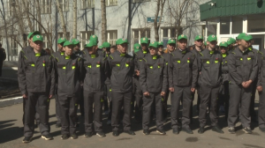 Студенческие механизированные отряды возрождают в Казахстане
