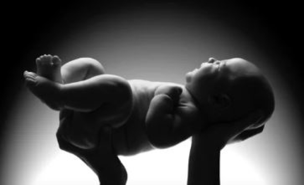 Сколько детей родилось в Казахстане в 2024 году