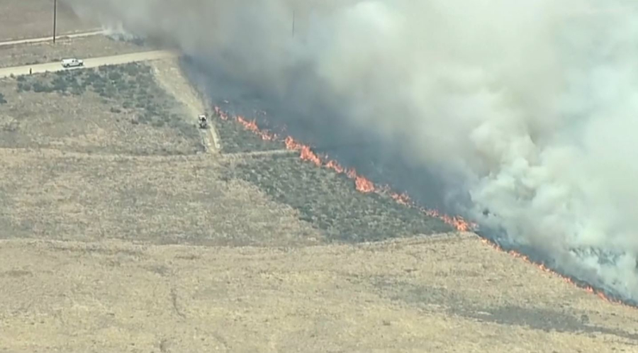 Оңтүстік Калифорнияда орман өртеніп жатыр