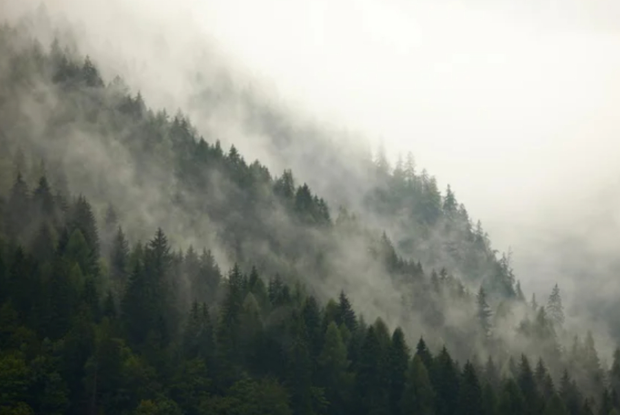 Туристов эвакуировали с высоты 3180 метров из-за густого тумана