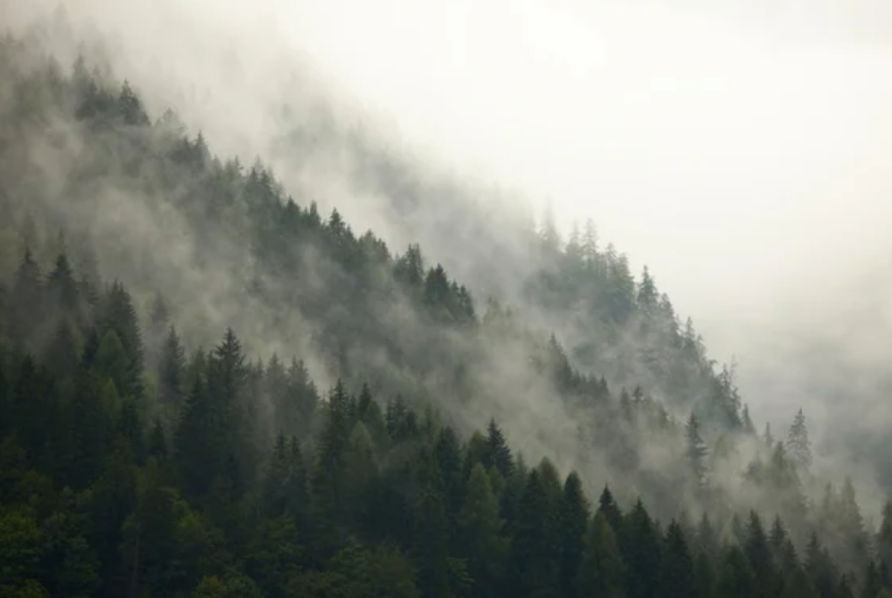 Туристов эвакуировали с высоты 3180 метров из-за густого тумана