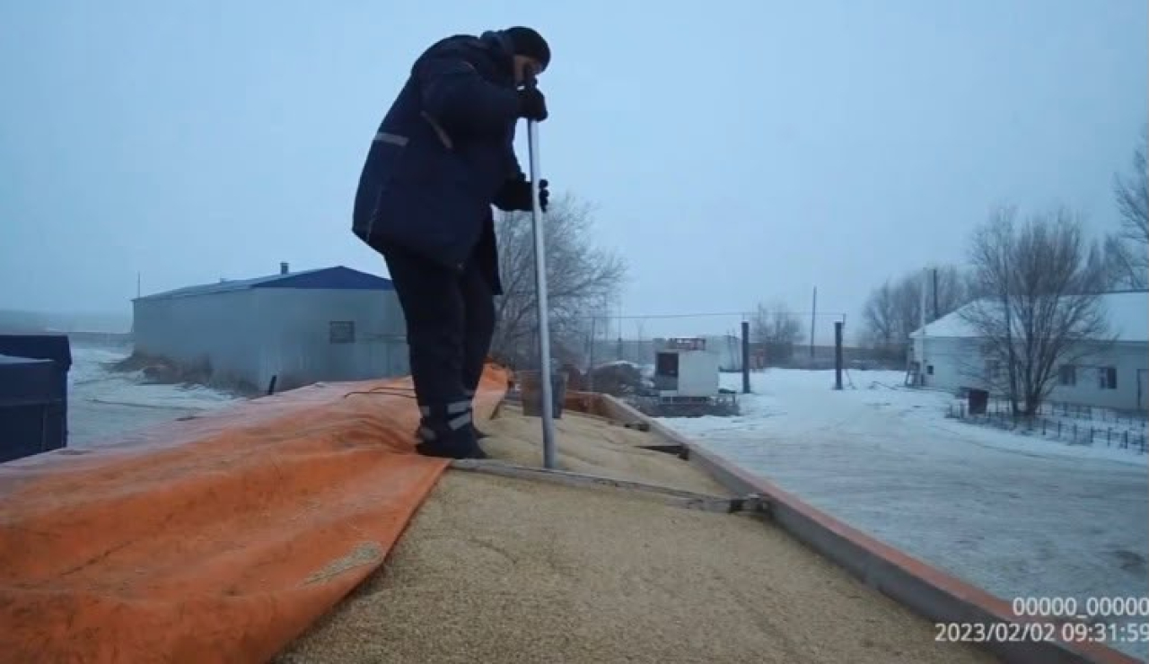 Қазақстанда 130 мың тонна астықтың «сұр импорты» схемасы анықталды