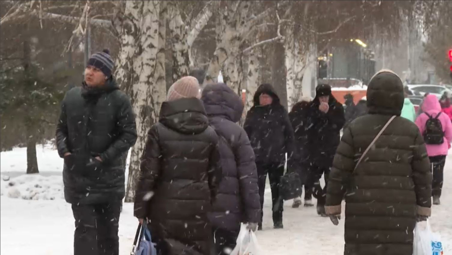 Бір палаталы парламент азаматтар мүддесін тиімді қорғауды жеңілдетуі мүмкін