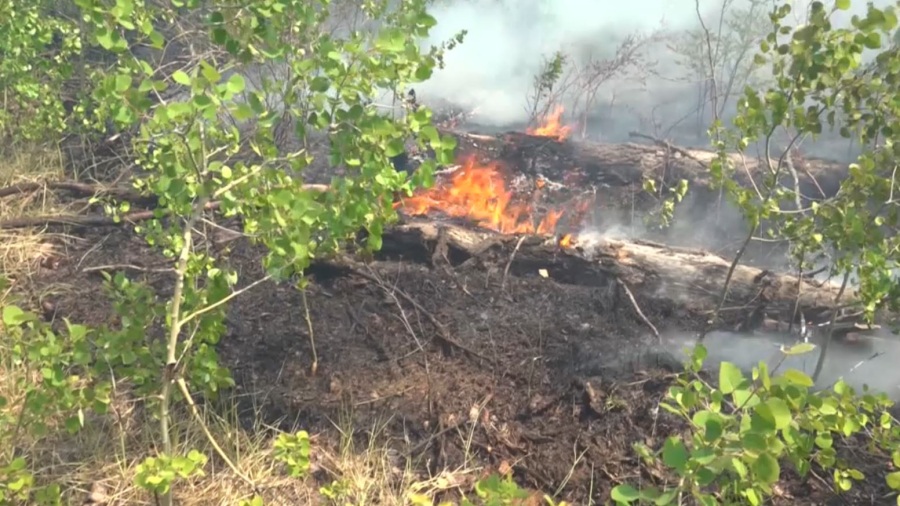 Аптап ыстық орман алабына қауіп төндірді