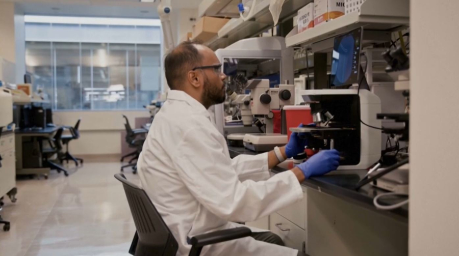 Алдағы 25 жылда адамға антибиотик әсер етпей қалуы мүмкін