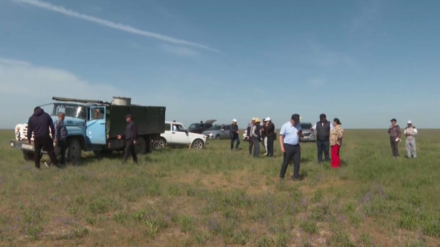 Түркістан облысында зиянкестерді улауға «АН-2» ұшағы тартылды