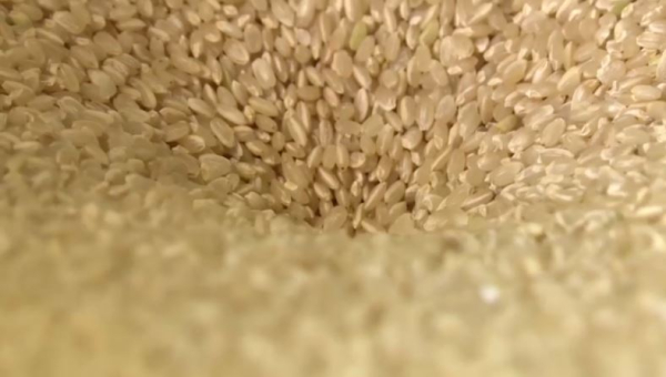 Цены на рис в Японии выросли в два раза