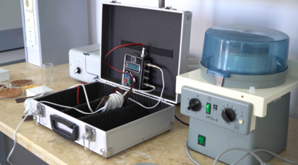 Шымкенттік ғалымдар астық өнімділігін арттыратын ғылыми жаңалық ашты