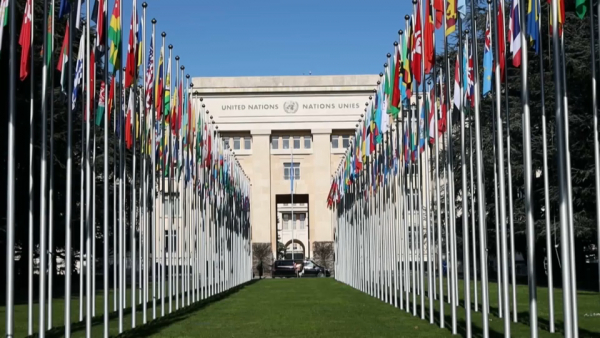 Эксперты оценили прогресс Казахстана в защите прав женщин