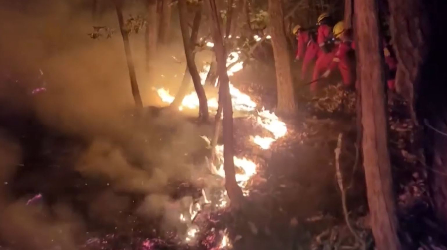 Оңтүстік Кореяда орман өртеніп жатыр