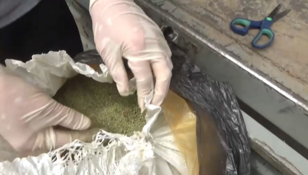 Қарағандылық полицейлер үш айда 284 келі есірткі тәркіледі