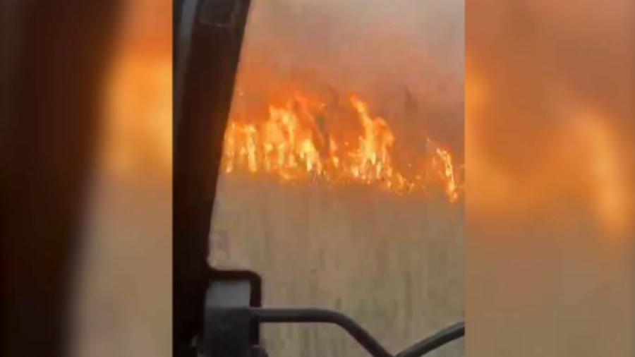 Пожар в резервате «Акжайык»: сгорело 280 гектаров тростника