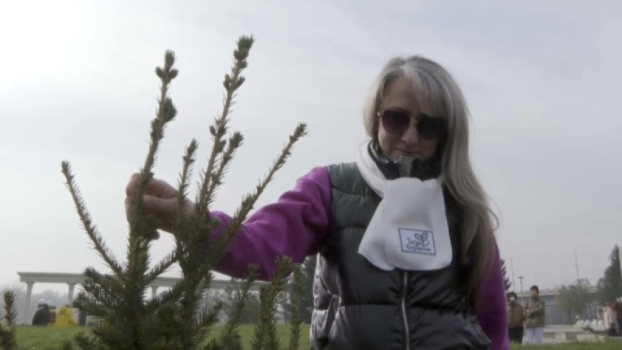 Городское пространство озеленяют в Усть-Каменогорске