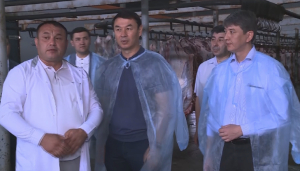 Завод по переработке отходов животноводства построят в Туркестанской области