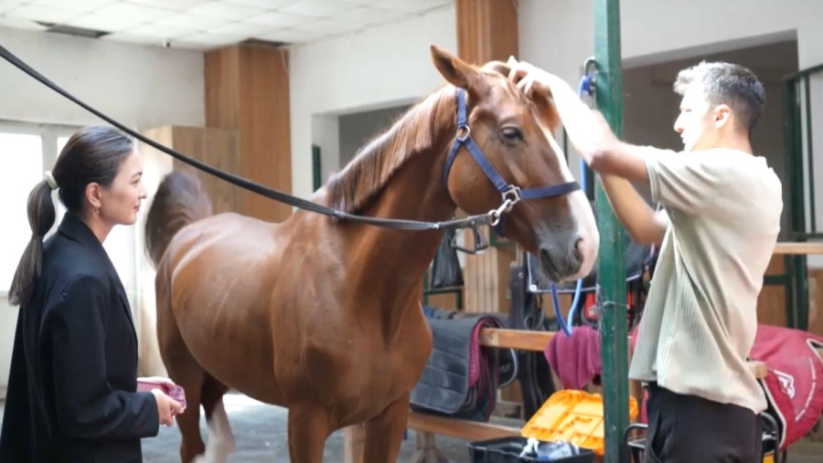 Түркияда ат спорты дамып келеді