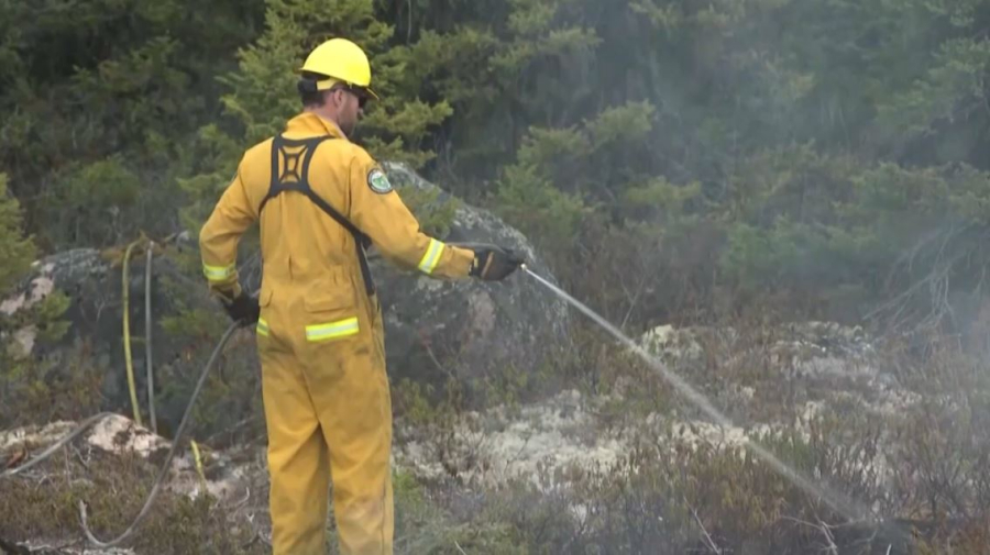 Канадада 188 орман алқабы өртеніп жатыр