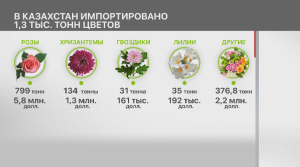 Почти полторы тысячи тонн цветов привезли в Казахстан
