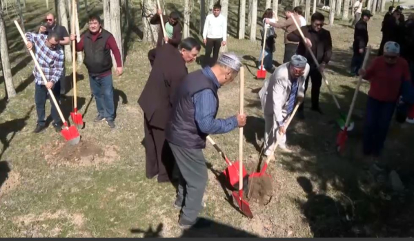 Более тысячи деревьев в честь Дня обновления высадили в Шымкенте