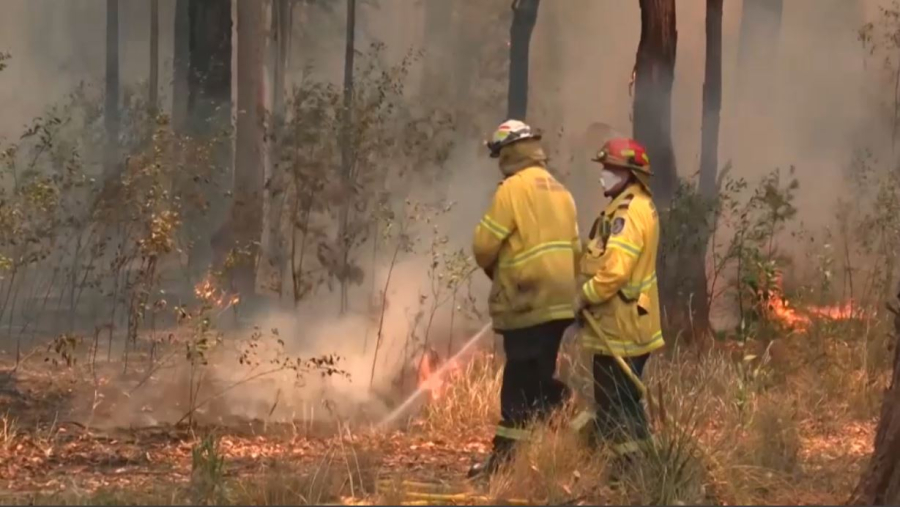 Аустралияда орман өрті өршіп барады