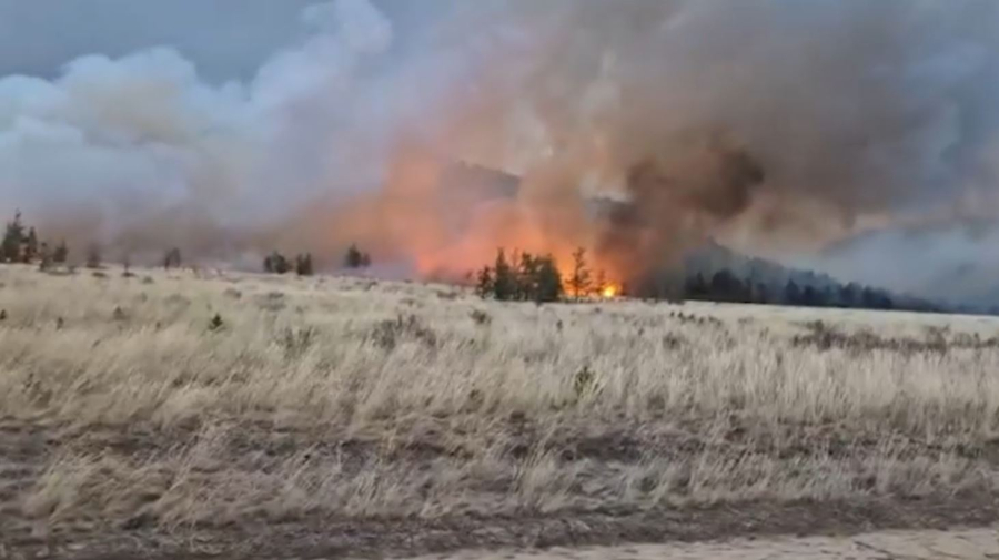 МЧС РК усиливает помощь в ликвидации природного пожара в области Абай