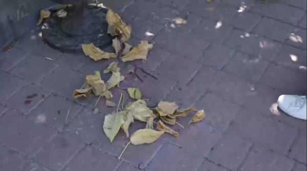 Талдықорғанда жастар сенбілік өткізді