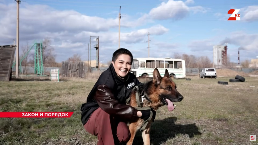 В надёжных лапах! Как собак обучают служить закону и нашей безопасности