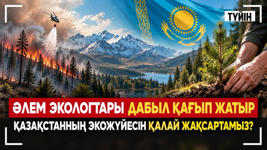 Елді 2 млрд тал егілгеннен кейін не күтіп тұр? | Түйін