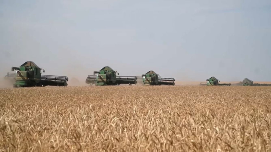 Казахстан начал поставлять зерно в ряд европейских стран