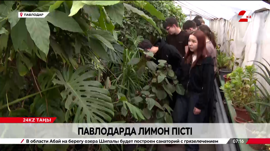 Павлодарда лимон пісті