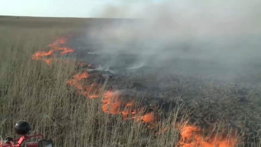 Атырау облысында дала өрті өршіп тұр