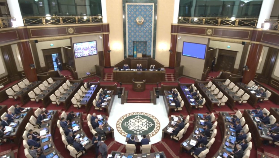 Депутаттар Ішкі істер министріне қандай мәселелерді айтты?