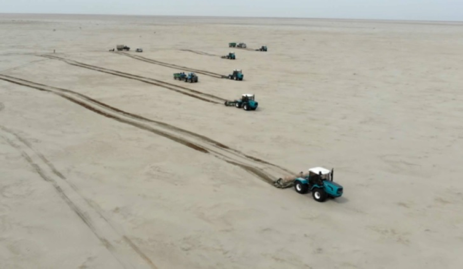 Осеннюю посадку саксаула начали на высохшем дне Арала