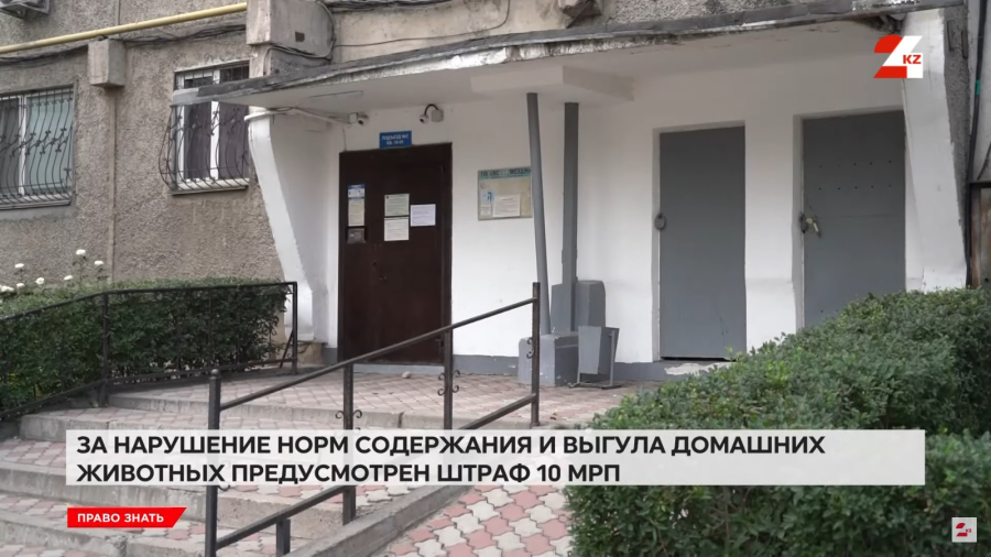 Сосед развёл антисанитарию: куда обращаться