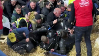 Протесты во Франции: аграрии закидали полицейских яйцами
