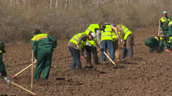 «Таза Қазақстан»: больше 6,5 тысяч экологический мероприятий провели в РК