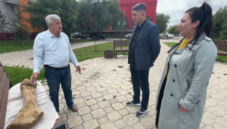 СҚО аумағында мамонт сүйегі табылды