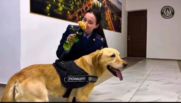 Лабрадор Блонди подарил цветы женщинам-полицейским в Павлодаре