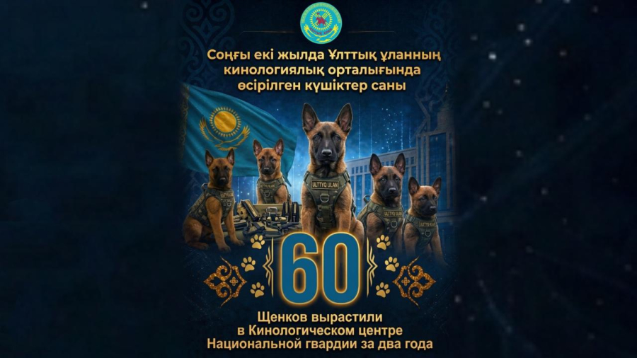 Ұлттық ұланның кинология орталығында соңғы екі жылда 60 күшік өсірілді