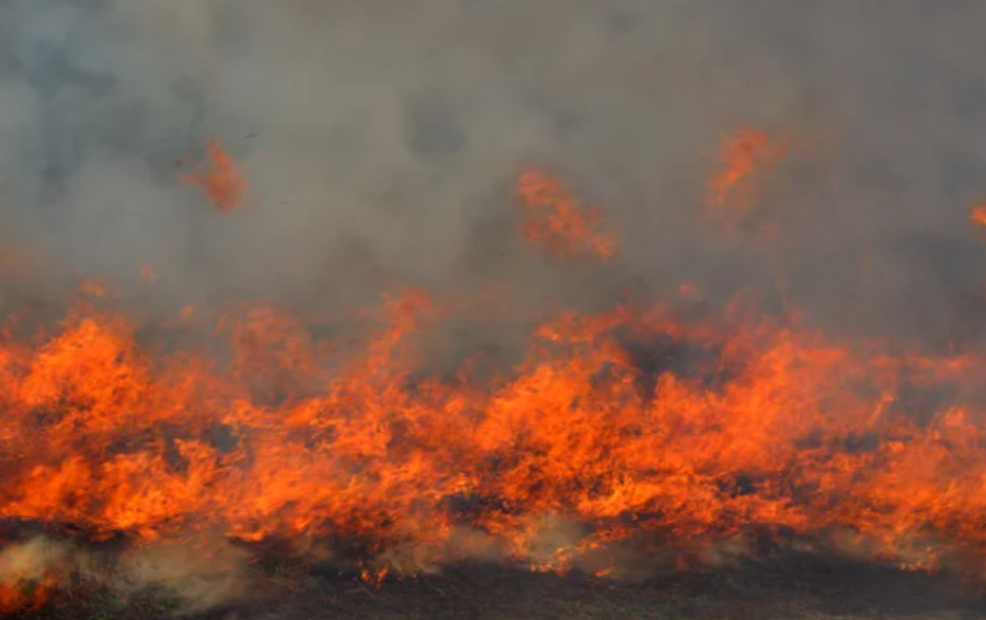 Степной пожар в Костанайской области полностью ликвидирован