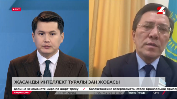 Жасанды интеллект туралы заң жобасы. Нұртай Сабильянов