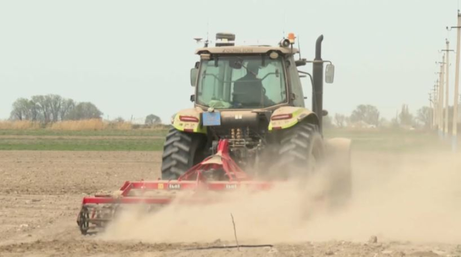 Аграрии Жамбылской области засеют свыше 600 тысяч гектаров