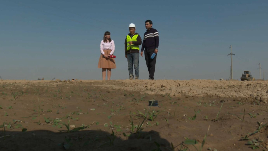 Экопарк вместо свалки разбивают в Шымкенте