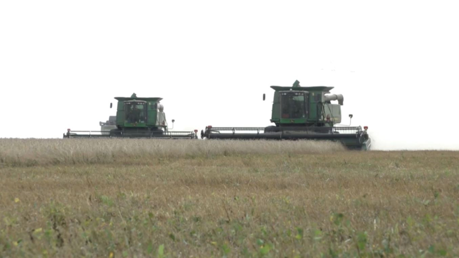 Биыл алқаптарға 2,3 млн тонна тыңайтқыш себіледі