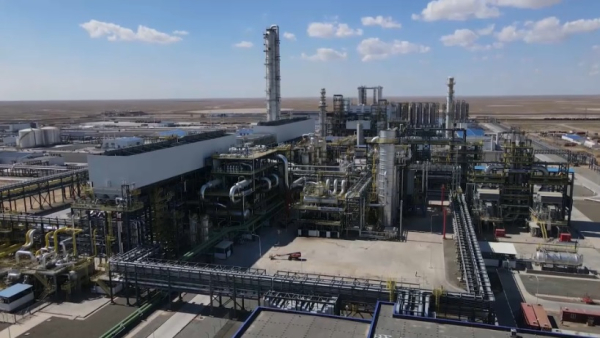 В Атырауской области начнут поднимать сельское хозяйство