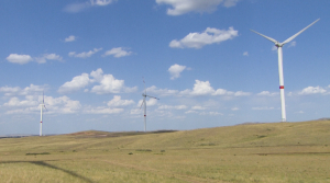 Четыре гигантских ветропарка построят на юге Казахстана
