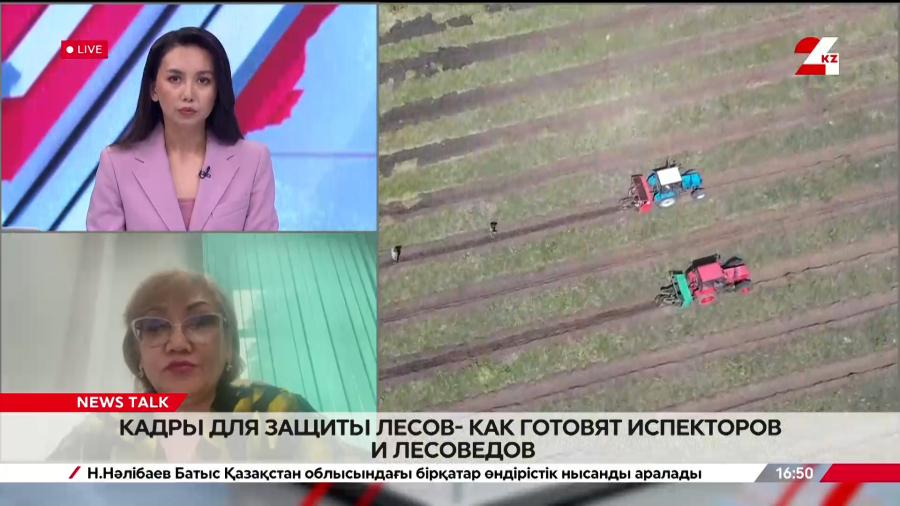 Как защитить леса Казахстана? Дани Сарсекова
