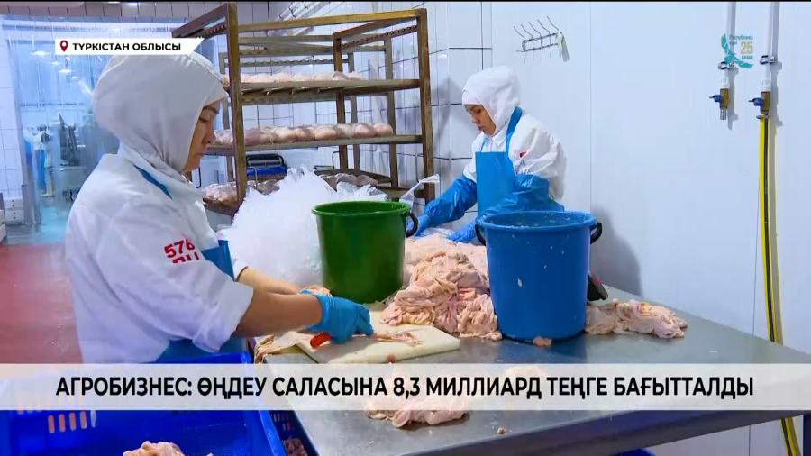 Агробизнес: Өңдеу саласына 8,3 миллиард теңге бағытталады