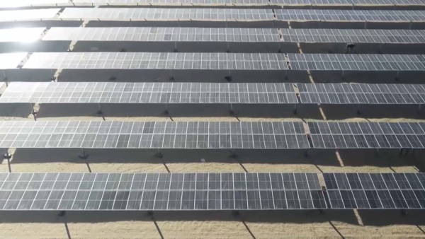 БАӘ Жамбыл облысында жел электр станциясын салады